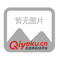 供應(yīng)TKM系列微動開關(guān)(圖)